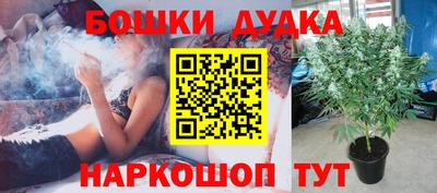 ГАЛЛЮЦИНОГЕННЫЕ ГРИБЫ Гатчина