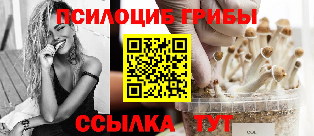 Галлюциногенные грибы Magic Shrooms Воткинск