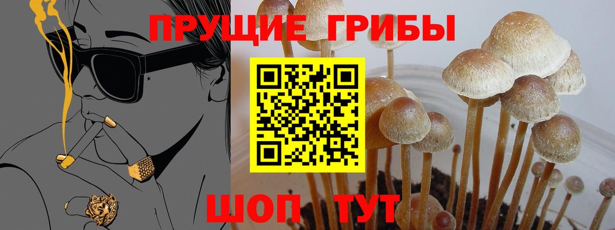 Псилоцибиновые грибы Magic Shrooms  Вход с VPN  Воткинск  Псилоцибиновые грибы MAGIC MUSHROOMS 